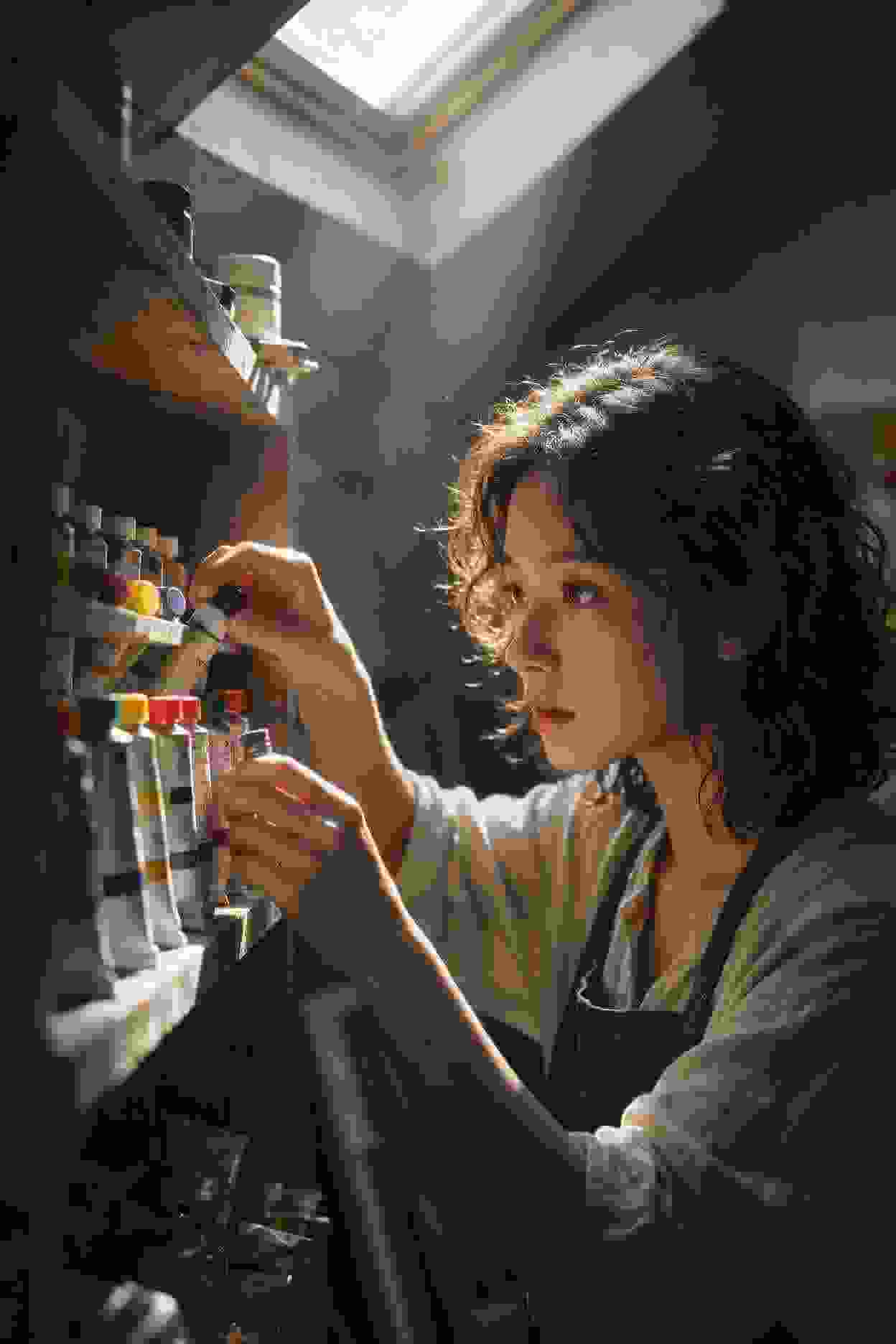 影视作品